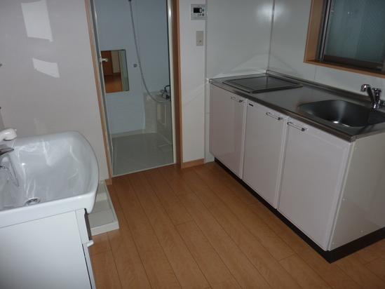 キッチン流しと洗面